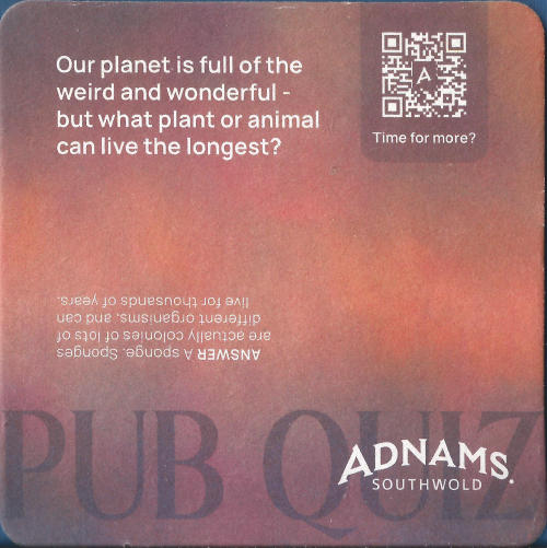 Adnams Beer Mat